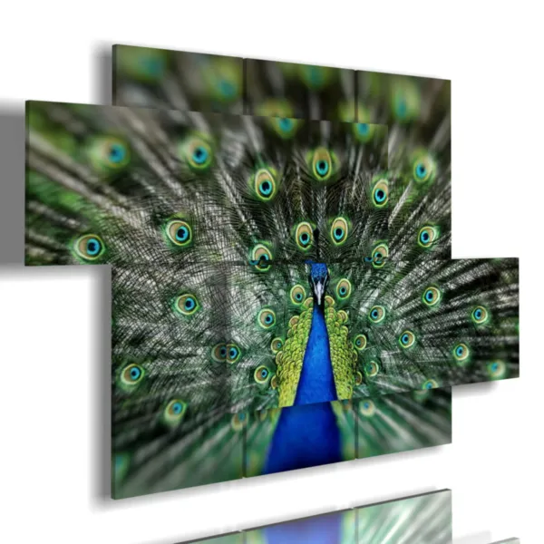 paintings peacock decoration