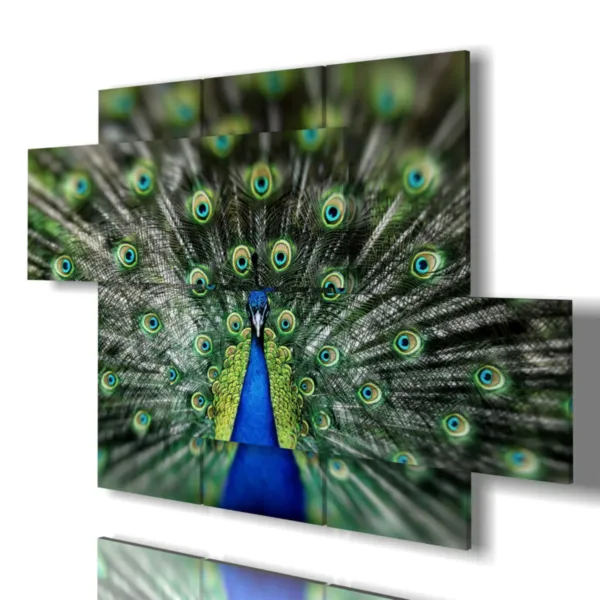 Impresiones de pavo real modernas