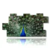 wonderful peacock tail painting - version: 11 pannelli 202x103cm