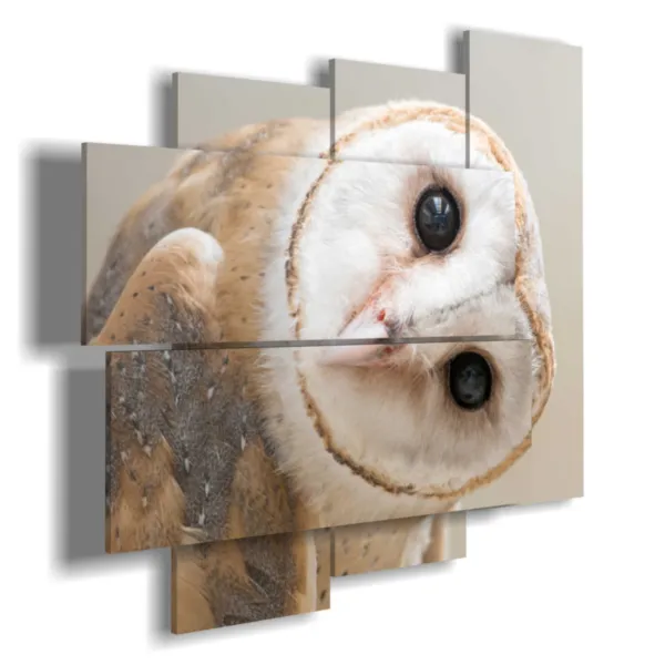 Paintings with owl birds
