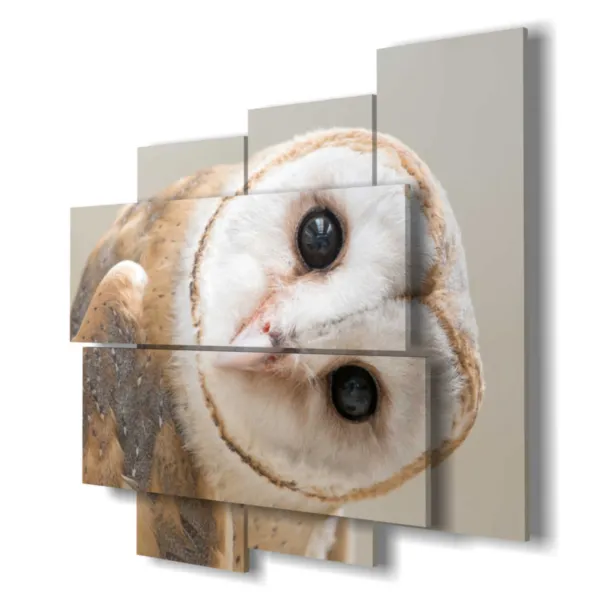 Moderne Bilder mit Uhus