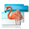strandvogel bilder - version: 6 pannelli 122x96cm