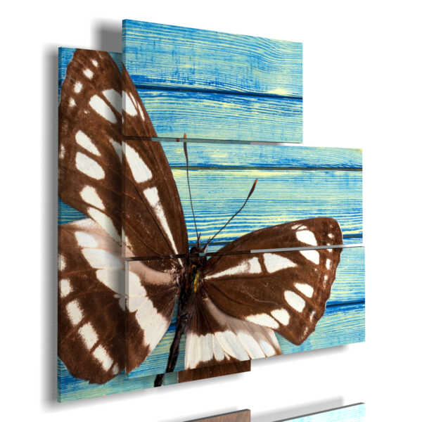 quadro con ali di farfalla marrone e bianco