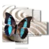 tableau de papillon bleu dans un sable blanc - version: 5 pannelli 104x90cm