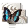 painting of a blue butterfly in a white sand - version: 6 pannelli 113x99cm