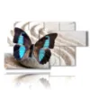 painting of a blue butterfly in a white sand - version: 7 pannelli 157x90cm