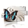 painting of a blue butterfly in a white sand - version: 9 pannelli 171x108cm