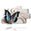 tableau de papillon bleu dans un sable blanc - version: 10 pannelli 173x114cm