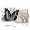 painting of a blue butterfly in a white sand - version: 10 pannelli 183x100cm