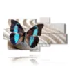 painting of a blue butterfly in a white sand - version: 8 pannelli 184x100cm