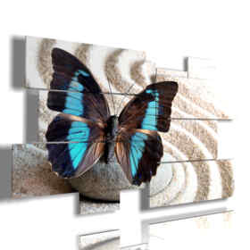Bild eines blauen Schmetterlings in weißem Sand
