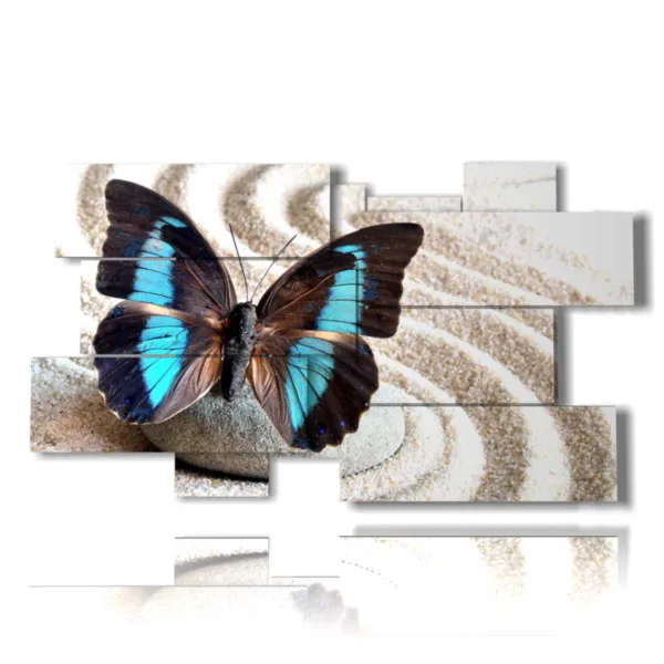 butterfly frame