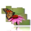 cuadros mariposas de colores con flores de colores - version: 7 pannelli 150x102cm