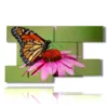 cuadros mariposas de colores con flores de colores - version: 9 pannelli 177x101cm