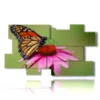 tableaux papillons colores en fleurs colorees - version: 10 pannelli 186x105cm