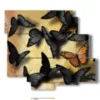 cuadros con mariposas negras y amarillas - version: 6 pannelli 113x99cm
