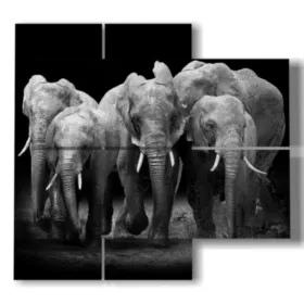 Painting with elephants