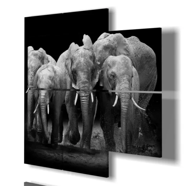 impressions d''éléphants