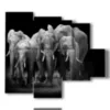 tableau avec des elephants en troupeau - version: 5 pannelli 104x90cm