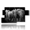 tableau avec des elephants en troupeau - version: 7 pannelli 157x90cm