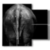 painting elephants from another perspective - version: 4 pannelli 91x85cm