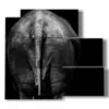 painting elephants from another perspective - version: 5 pannelli 102x93cm