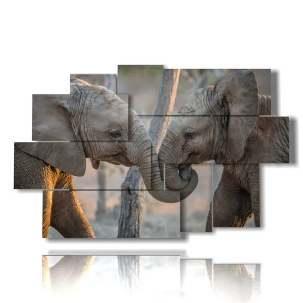 Painted elephants