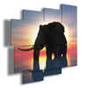 quadri elefante al tramonto astratto