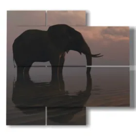 foto elefante