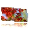 quadro con immagine bosco autunno - version: 10 pannelli 183x100cm