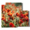 bild die mohnblumen im feld gemalt - version: 5 pannelli 102x93cm