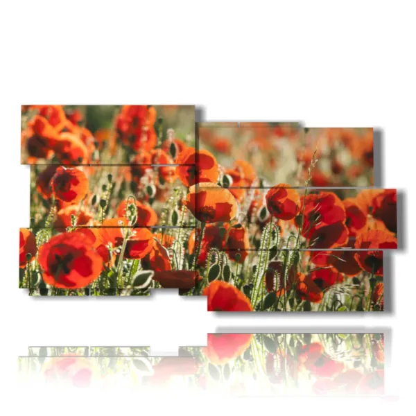 Le tableau des coquelicots
