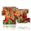tableau les coquelicots peints dans le champ - version: 12 pannelli 190x119cm
