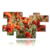 bild die mohnblumen im feld gemalt - version: 11 pannelli 207x119cm