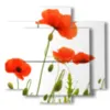 tableau avec des photos de coquelicots rouges stylises - version: 5 pannelli 89x85cm