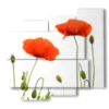 painting with stylized red poppies photos - version: 5 pannelli 106x98cm