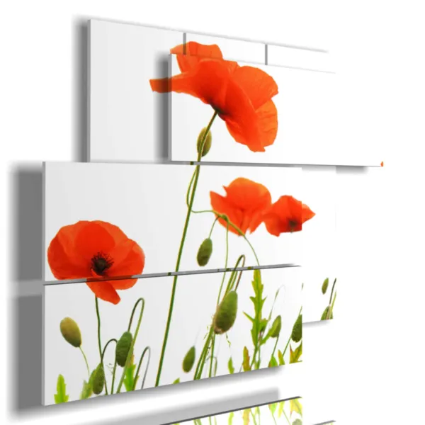 Imprime des coquelicots rouges.