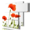 tableaux de coquelicots rouges