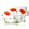 tableau avec des photos de coquelicots rouges stylises - version: 9 pannelli 171x108cm