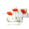 tableau avec des photos de coquelicots rouges stylises - version: 7 pannelli 180x106cm
