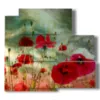 tableau avec des photos de coquelicots ou des dessins artistiques - version: 5 pannelli 102x93cm