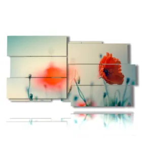 photo de coquelicots et de blé