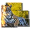 bild mit tiger im hochformat - version: 5 pannelli 102x93cm