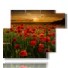 bild mohnfeld im sonnenuntergang der liebe - version: 6 pannelli 122x96cm