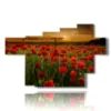 tableau champ de coquelicots au coucher du soleil d amour - version: 7 pannelli 173x108cm