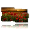 bild mohnfeld im sonnenuntergang der liebe - version: 10 pannelli 183x100cm