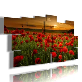 cuadros con campo de amapolas