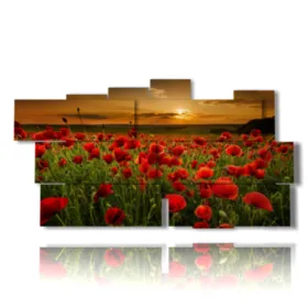 Cadre de champ de coquelicots