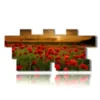 tableau champ de coquelicots au coucher du soleil d amour - version: 12 pannelli 232x106cm