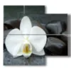 quadri moderni con orchidee bianche e sassi neri - version: 4 pannelli 91x85cm